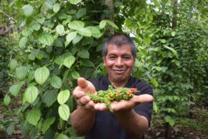 La pimienta del Putumayo se tomó los grandes restaurantes