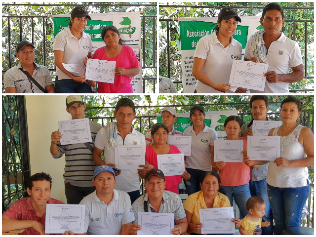 productores de pimienta certificaron sus predios
